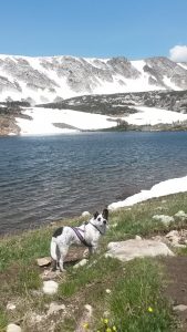 Barry hiking in the Snowy Range Mountains near Laramie, Wyoming