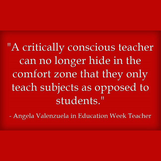 Growing Critically Conscious Teachers