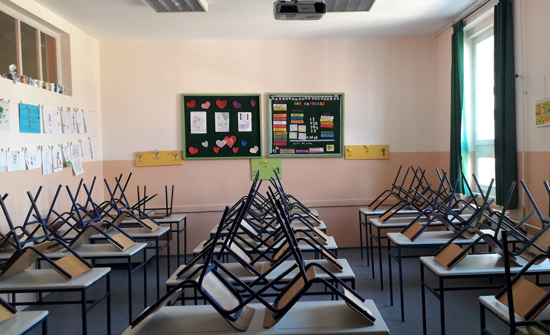 Corona-Capitalism and the Racialized Looting of Public Schools