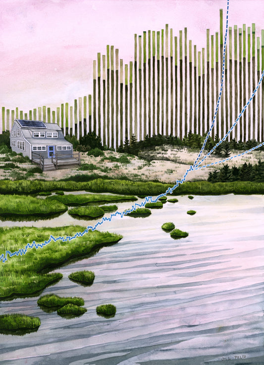 The Ecopedagogical Potential of Eco-Visualizations: Rising Sea Level Projections