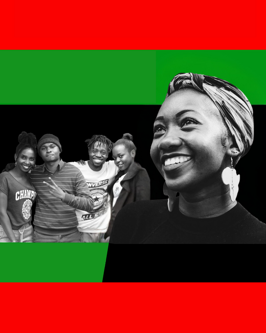 Applying Global Constructions of Race to the U.S. P–20 Education System