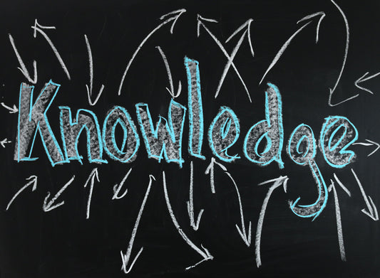 Be That Transformative Educator! Apply Adult Learning Principles and Universal Design for Learning to Advance Adult Learner Success