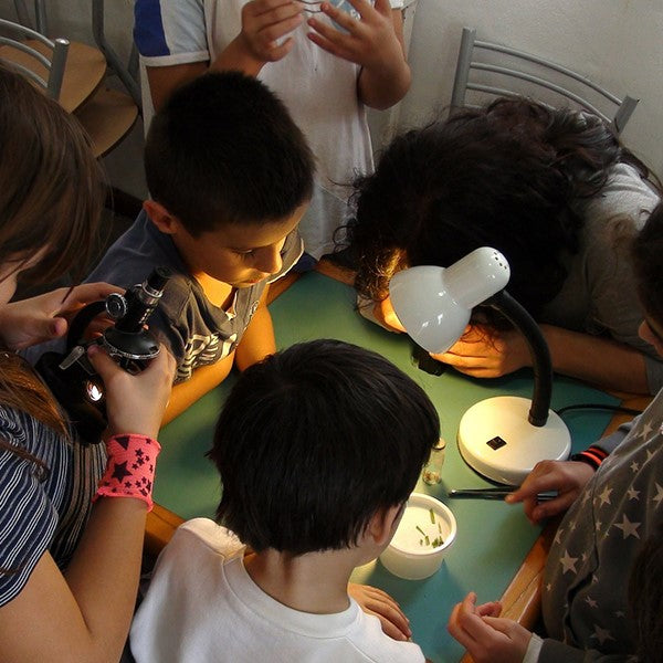 Why teach STEM in preschool? [excerpt]