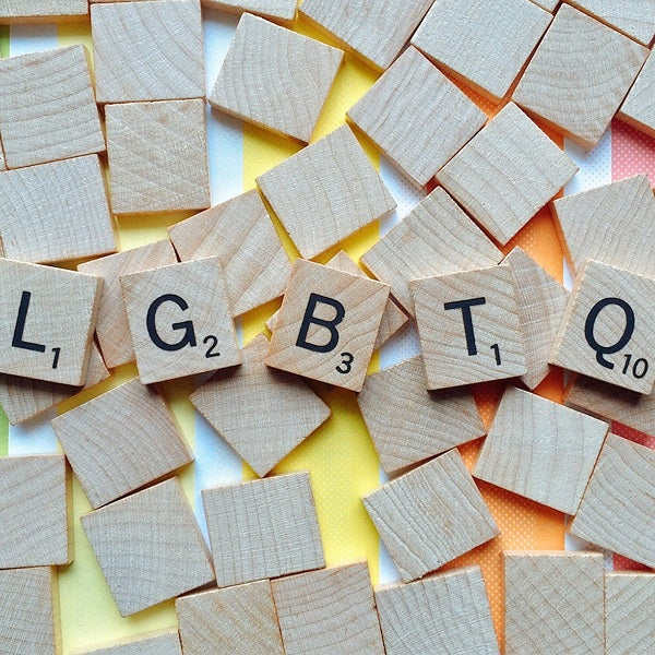 Reading the Rainbow [Excerpt]
