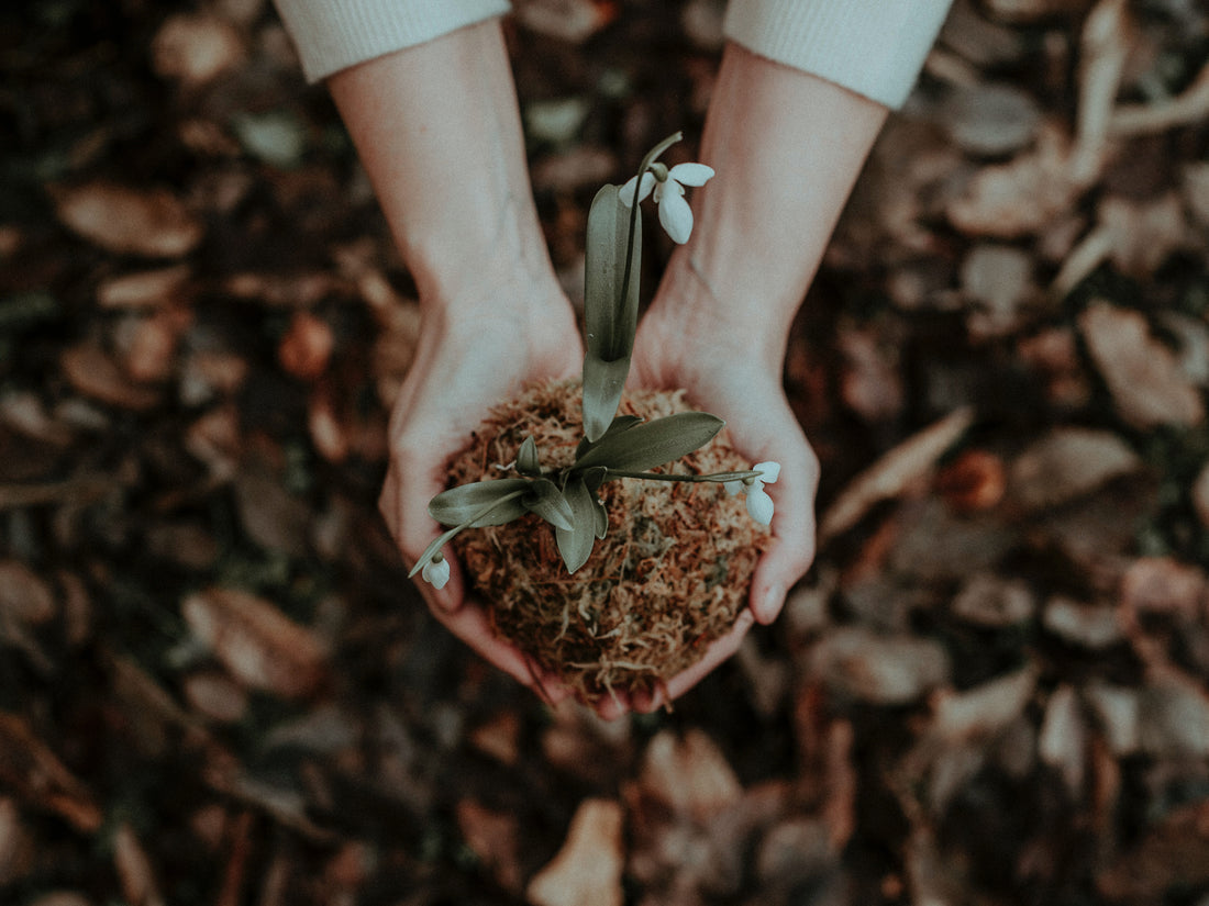 Ensure Learner Empowerment by Nurturing a Growth Academic Mindset