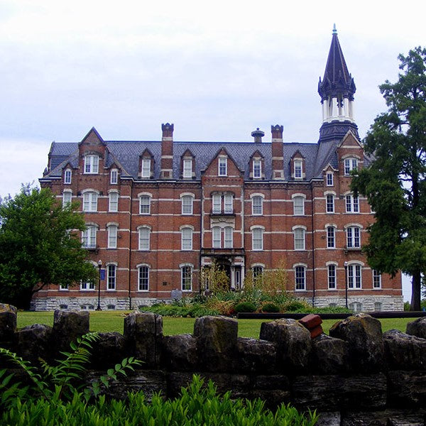 Higher education and academic freedom in the South [interactive graph]