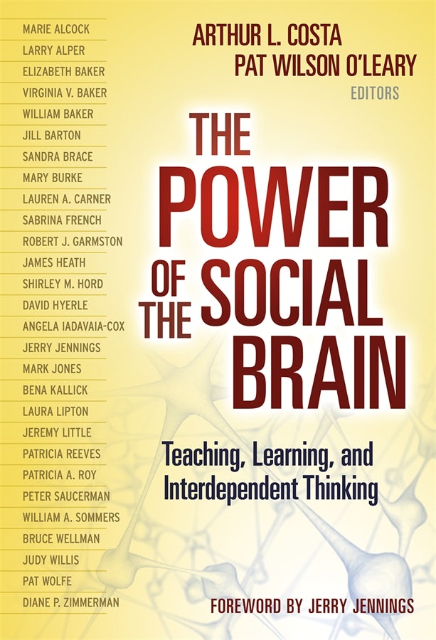 Cover image for The Power of the Social Brain, isbn: 9780807754153