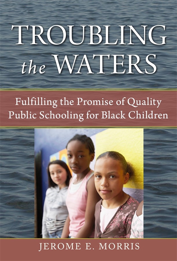 Cover image for Troubling the Waters, isbn: 9780807771693