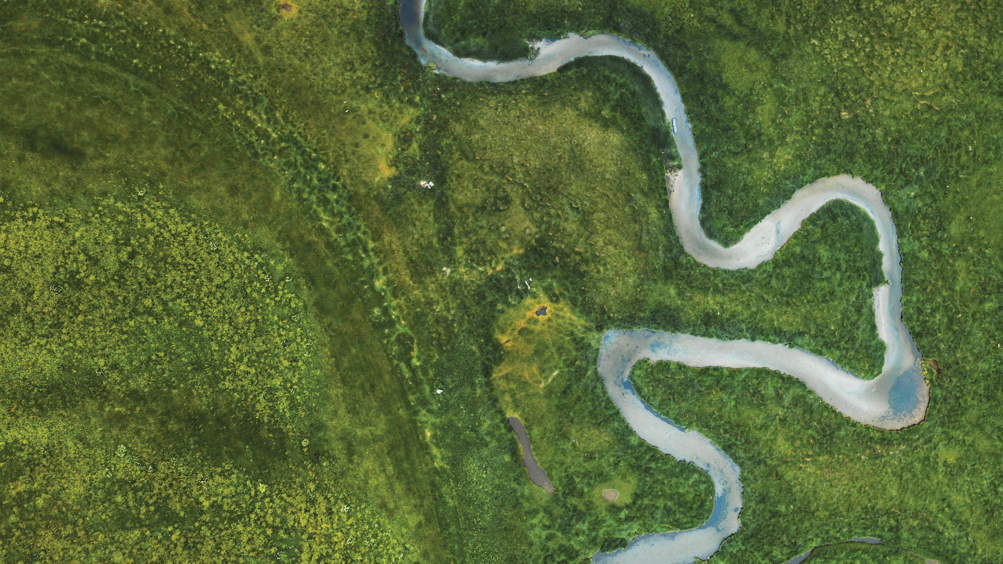 An aerial view of the Mekong River, twisting and meandering through lush greenery.
