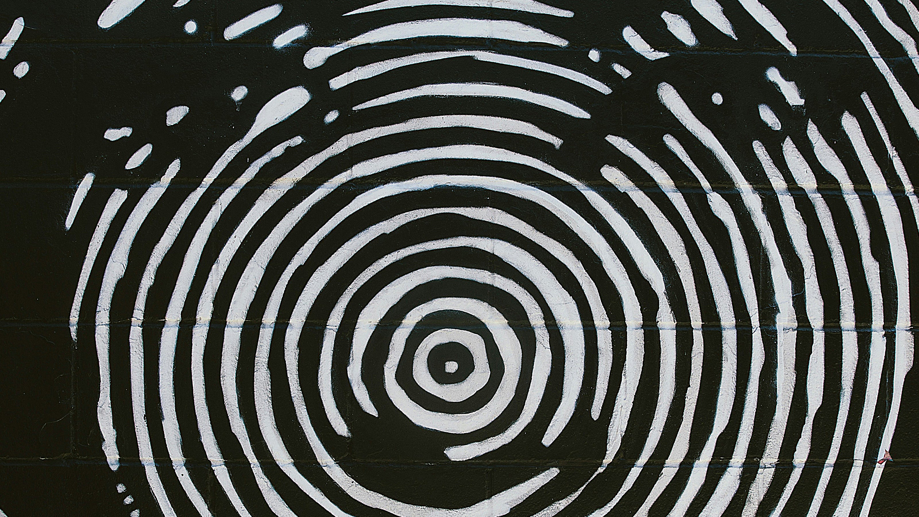 White concentric circles painted on a black wall, illustrating a fingerprint up close but suggesting a face when viewed from a distance.