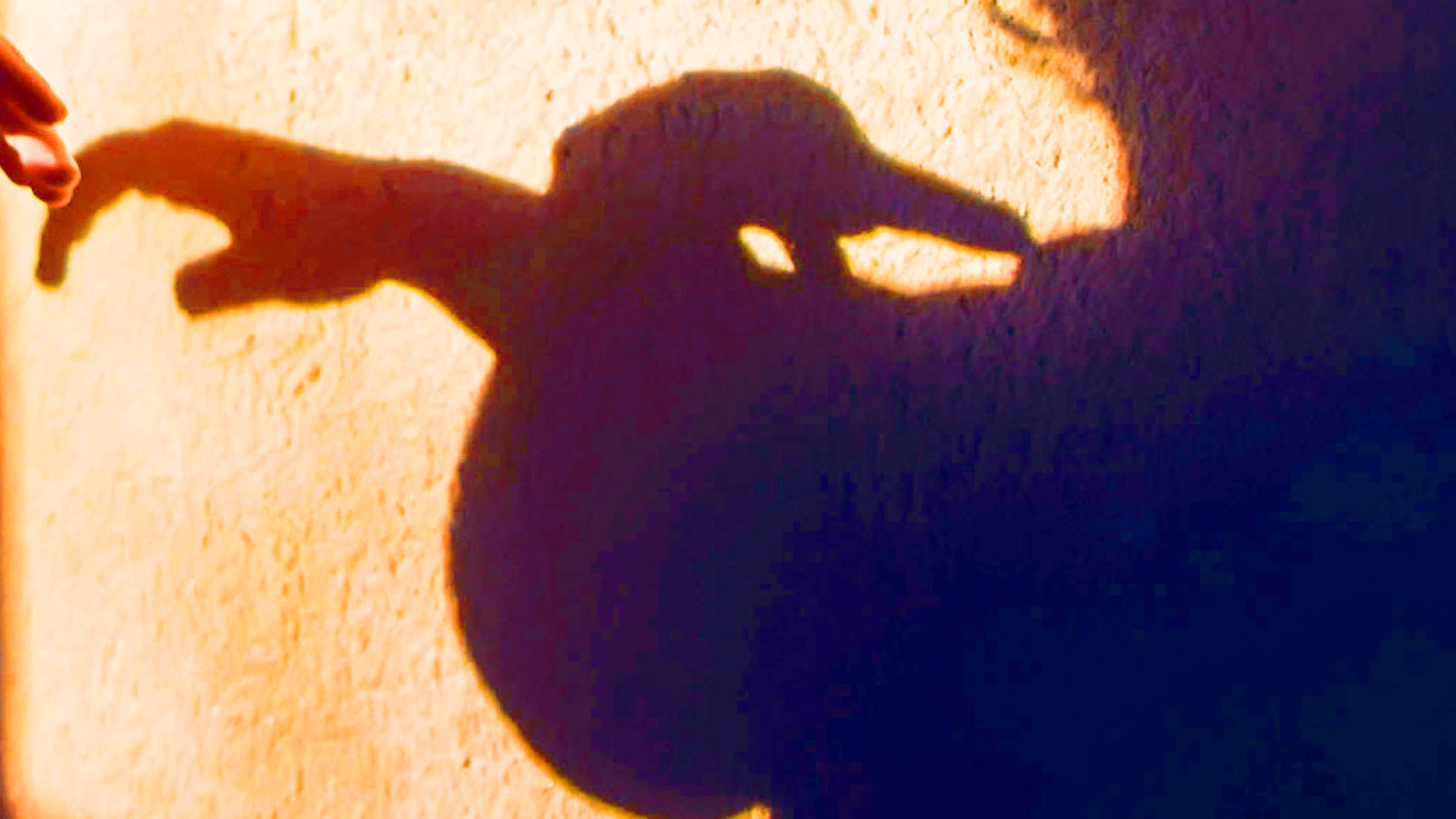  A child exploring his bright purple shadow, which suggests two abstract birds.
