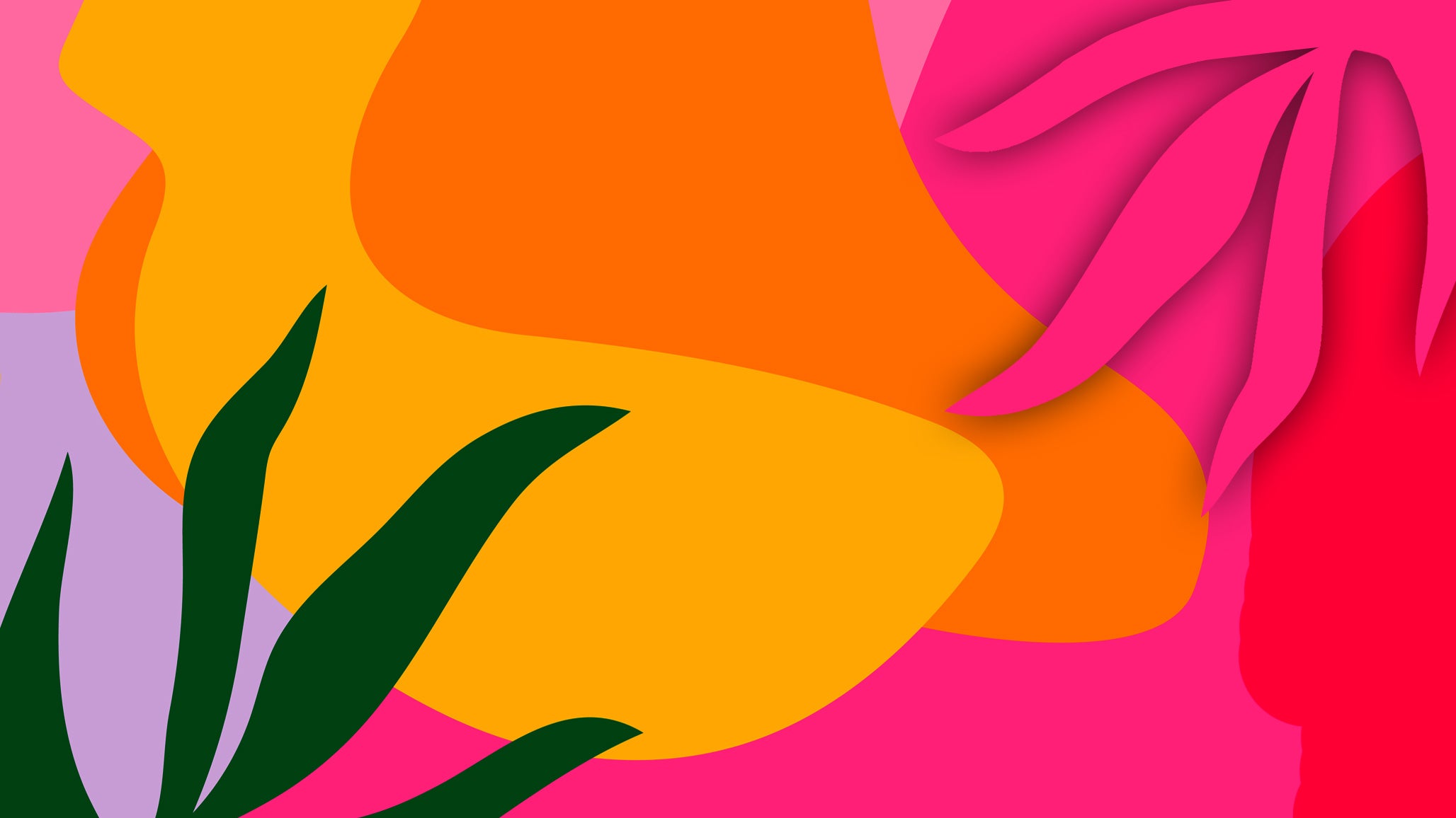 A punchy illustration of abstract snake plants against a brilliant yellow, orange, and pink wall.